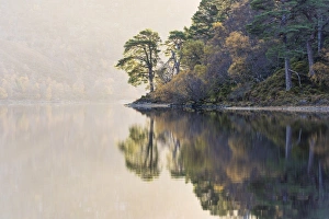 Misty morning at Loch Clair, Wester Ross, Highlands, Scotland