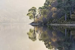 Images Dated 7th November 2016: Misty morning at Loch Clair, Wester Ross, Highlands, Scotland