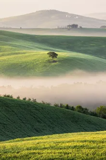 Mont Amiata Prints: Misty morning in the Val D'orcia, Tuscany, Italy