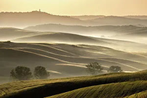 Mont Amiata Prints: Misty morning in the Val D'orcia, Tuscany, Italy