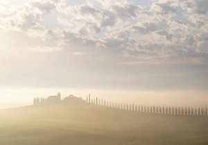 Tour Prints: Misty morning in the Val D'orcia, Tuscany, Italy