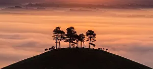 Misty morning view of Colmers Hill, Dorset, England, UK