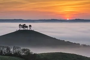 Misty morning view of Colmers Hill, Dorset, England, UK