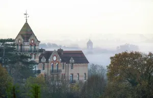 Vista Prints: Misty morning views from Richmond Hill towards River Thames, Richmond, London, England