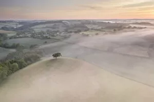 Images Dated 11th August 2020: Misty sunrise over the beautiful countryside of Mid Devon, England. Spring (May) 2020