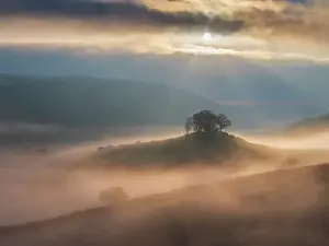 Mavic Prints: Misty sunrise over Hartland Hill Rocks in Dartmoor National Park