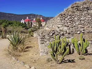 Cactuses Prints: Mitla Archaeological Site and San Pablo Church in the background