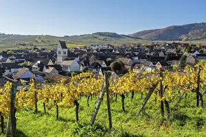 Grand Est Prints: Mittelwihr, Haut-Rhin, Alsace, Grand Est, France