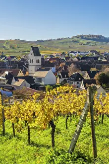 Grand Est Prints: Mittelwihr, Haut-Rhin, Alsace, Grand Est, France