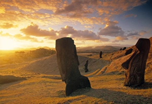 Chilean Gallery: Moai Quarry