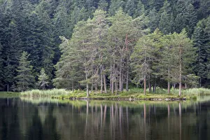 Mountain Lake Prints: Moeserer Lake, Moesern near Telfs, Tyrol, Austria