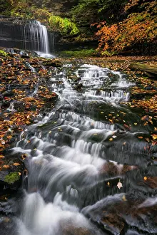 Autumn Leaf Prints: Mohawk Falls in Autumn, Ricketts Glen State Park, Benton, Pennsylvania, USA