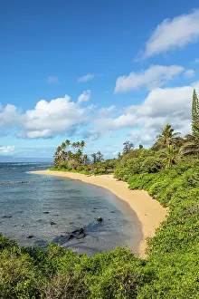 Molokai Prints: Molokai, Hawaii, USA, North America