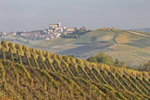 Monferrato, Asti district, Piedmont, Italy. Autumn in the Monferrato wine region