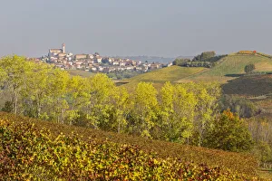 Monferrato, Asti district, Piedmont, Italy. Autumn in the Monferrato wine region