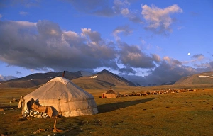 Yurt Prints: Mongolia, Bayan-Olgii Province