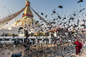 Kathmandu Collection: Monk feeding pidgeons at Boudhanath Stupa, Kathmandu, Nepal