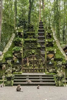 Monkey Temple Prints: Monkey Temple at Sangeh, Bali, Indonesia