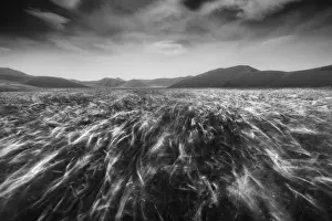 Wind Prints: A monochromatic capture taken during a windy afternoon in Castelluccio di Norcia