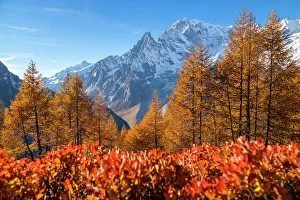 Mont Blanc Massif from the path to the Bertone Refuge in autumn. Ferret Valley, Courmayeur, Aosta district, Aosta Valley, Italy