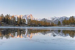 Larix Prints: Mont Blanc massif reflected in Lake d Arpy, municipality of Morgex, Valle d Aosta