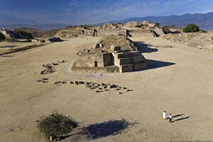 Images Dated 7th July 2008: Monte Alban ancient site, nr Oaxaca, Oaxaca State, Mexico