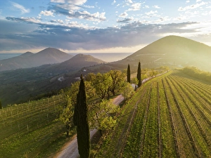 Dirt Road Prints: Monte Fasolo and Monte Rusta at sunset