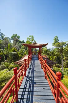 Images Dated 7th January 2021: Monte Palace tropical garden, Funchal, Madeira island, Portugal, Europe