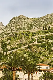 Kotor Prints: Montenegro, Bay of Kotor, Kotor. Path leading to St Johns Castle above Kotor