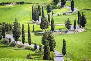 Scenic Route Prints: Monticchiello, Tuscany, Italy. Scenic road