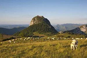 Montsegur, Ariege, Midi-Pyrenees, France