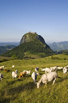 Montsegur, Ariege, Midi-Pyrenees, France