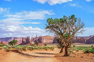 Monument Valley Prints: Monument Valley, view at Yei Bi Chei and Totem Pole rock columns, Arizona/Utah, USA
