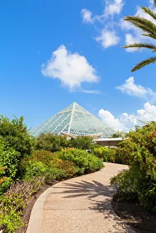 Galveston Prints: Moody Gardens, Galveston, Texas, USA
