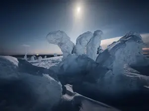 Night Sky Prints: The full moon lighting up the frozen trees of the Riisitunturi National Park