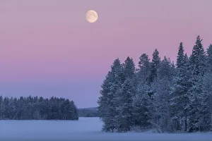 Nightscape Prints: Full moon setting over a frozen lake with Venus belt. Lapland, Northern FInland