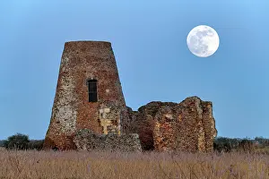Reedbed Prints: Full Moon over St. Benet's Abbey, Norfolk Broads National Park, Norfolk, England