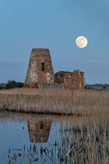 Reedbed Prints: Full Moon over St. Benet's Abbey, Norfolk Broads National Park, Norfolk, England