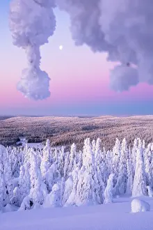 Finish Prints: Moonlight over the snowy arctic forest framed by ice sculptures at dawn