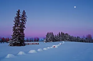 Provinces Prints: moonrise at dusk in winter Birds Hill Provincial Park, Manitoba, Canada