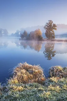 Upper Bavaria Prints: Moor lake in fog - Germany, Bavaria, Upper Bavaria, Weilheim-Schongau, Penzberg