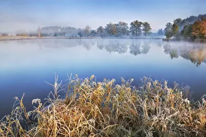 Weilheim Schongau Prints: Moor lake in fog - Germany, Bavaria, Upper Bavaria, Weilheim-Schongau, Penzberg