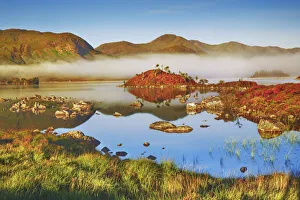 Moor lake in Rannoch Moor - United Kingdom, Scotland, Argyll and Bute