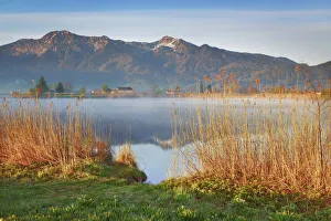 Moor Prints: Moor lake and reed - Germany, Bavaria, Upper Bavaria, Bad Tolz-Wolfratshausen, Kochel