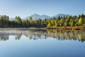 Images Dated 10th March 2021: Moor Lake, Schoenramer Filz, background Staufen Group, Rupertiwinkel, Upper Bavaria