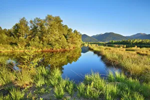 Moorland with birches - Germany, Bavaria, Upper Bavaria, Rosenheim, Raubling, Nicklheim Moorland with birches - Germany, Bavaria, Upper Bavaria, Rosenheim, Raubling, Nicklheim