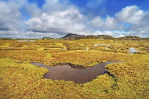 Mudflat Prints: Moorland on Grimsay - United Kingdom, Scotland, Outer Hebrides, Grimsay