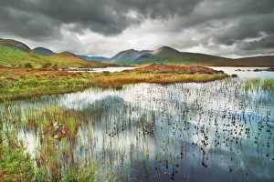 Swamp Prints: Moorland at Rannoch Moor - United Kingdom, Scotland, Argyll and Bute