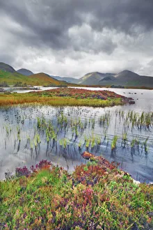 Northwest Highlands Prints: Moorland at Rannoch Moor - United Kingdom, Scotland, Argyll and Bute