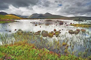 Northwest Highlands Prints: Moorland at Rannoch Moor - United Kingdom, Scotland, Argyll and Bute